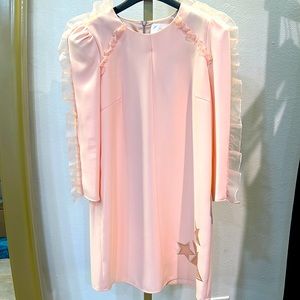 Small Dusty Rose Long Sleeve Dress